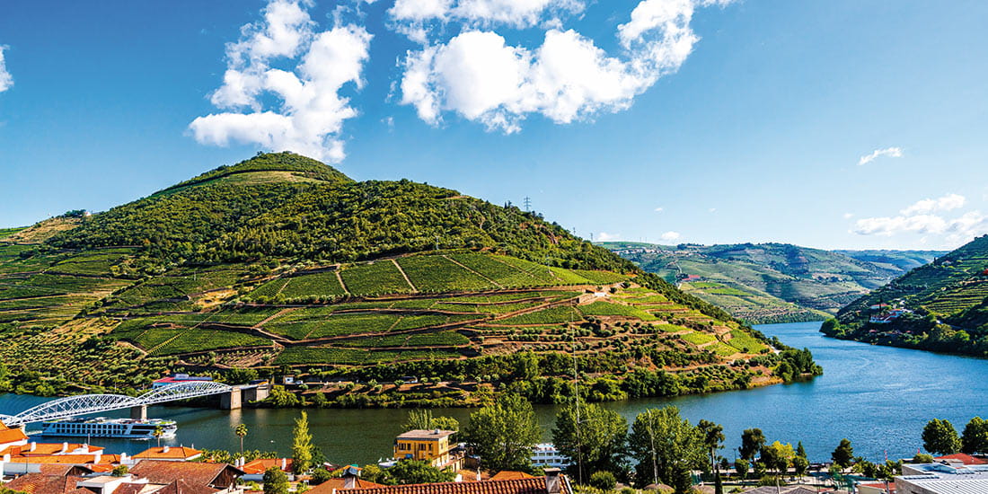 Terraced vineyards line the Douro